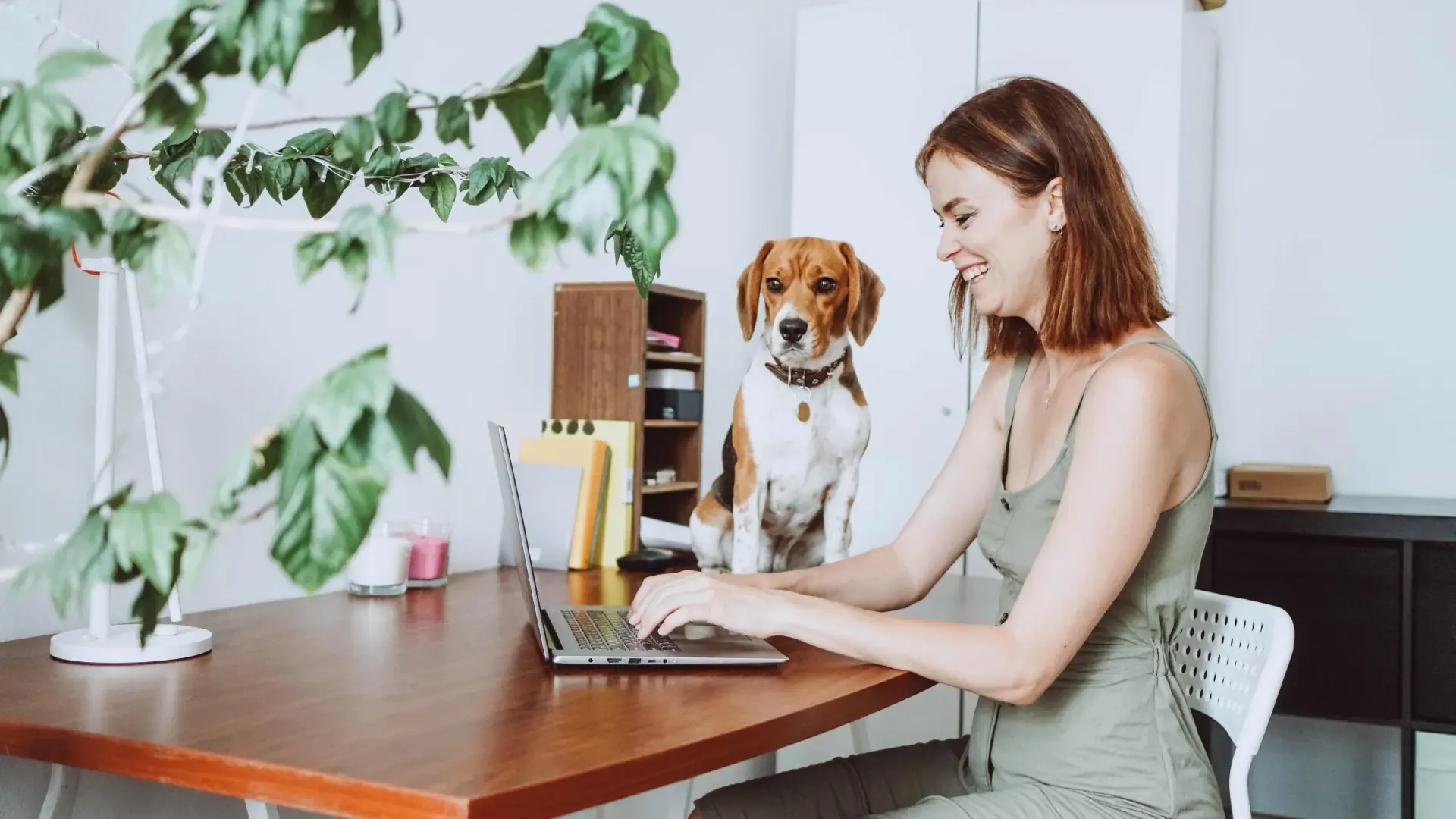 Vrouw zit aan haar bureau en typt op haar laptop, hond zit naast haar op het bureau